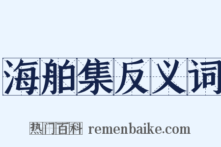 海舶集反义词是什么意思的图片